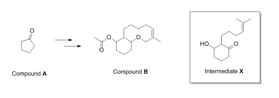 Synthesevraag.JPG