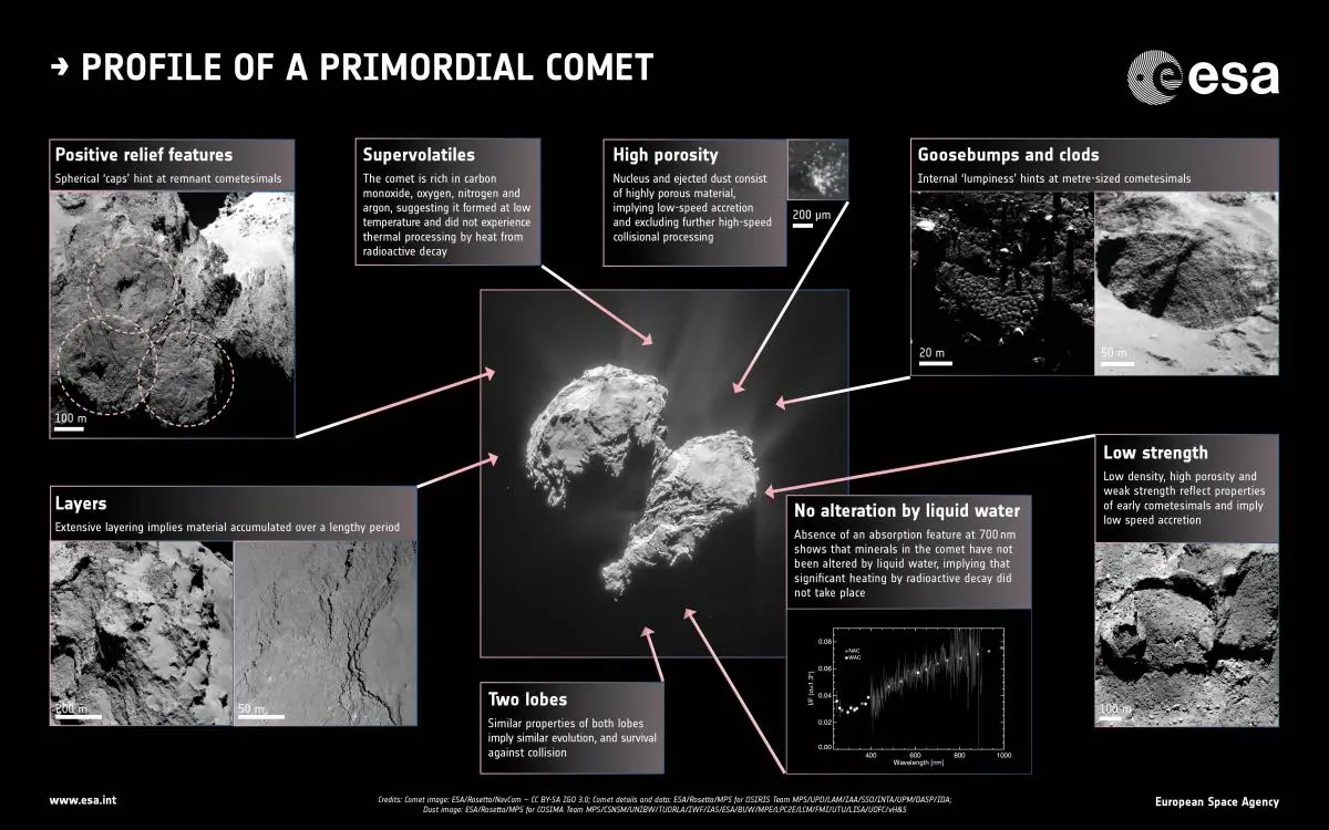 Profile_of_a_primordial_comet.jpg