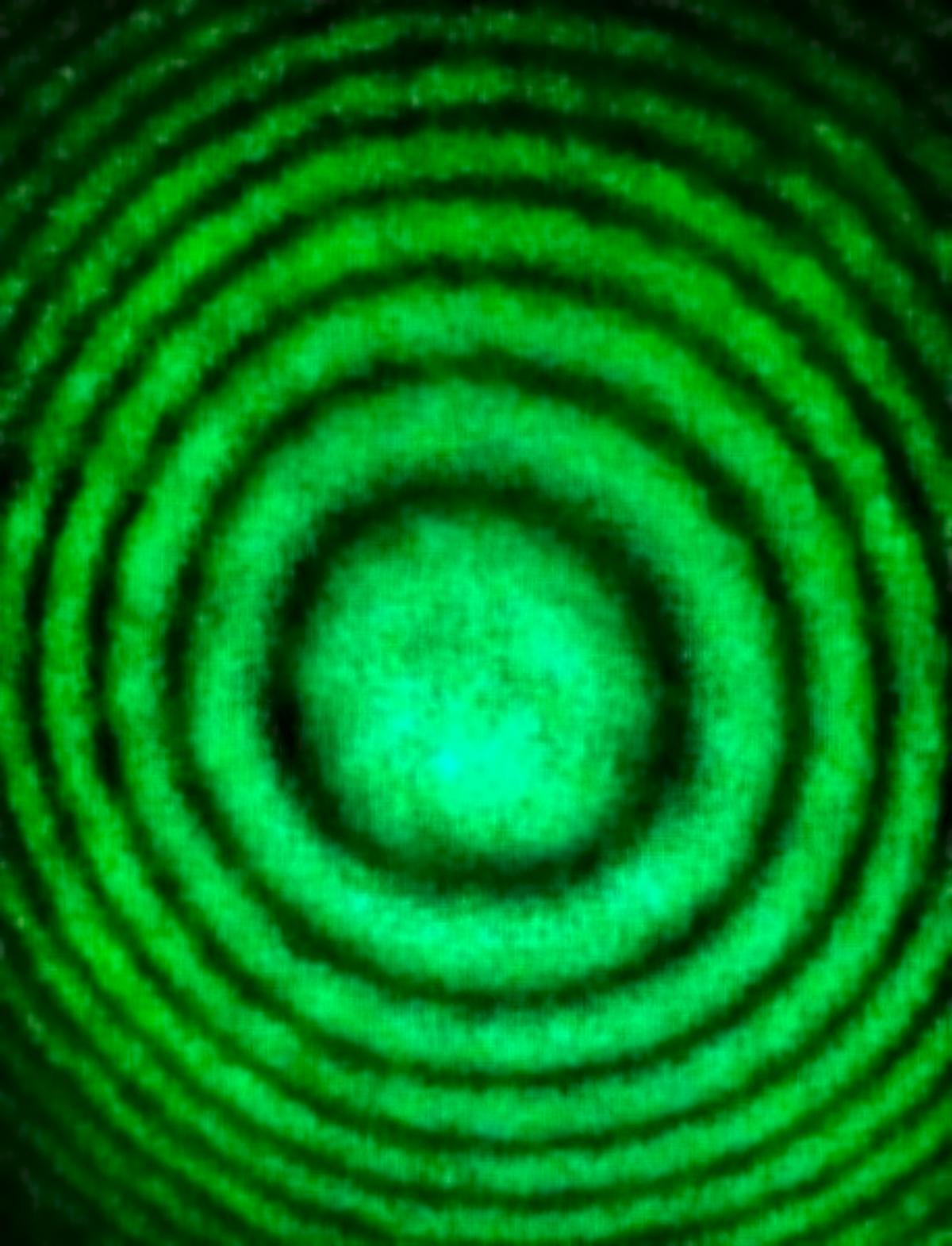 Fringes 536 nm green laser.jpg