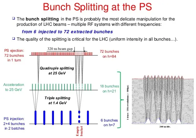 bunch splitting 2.jpg