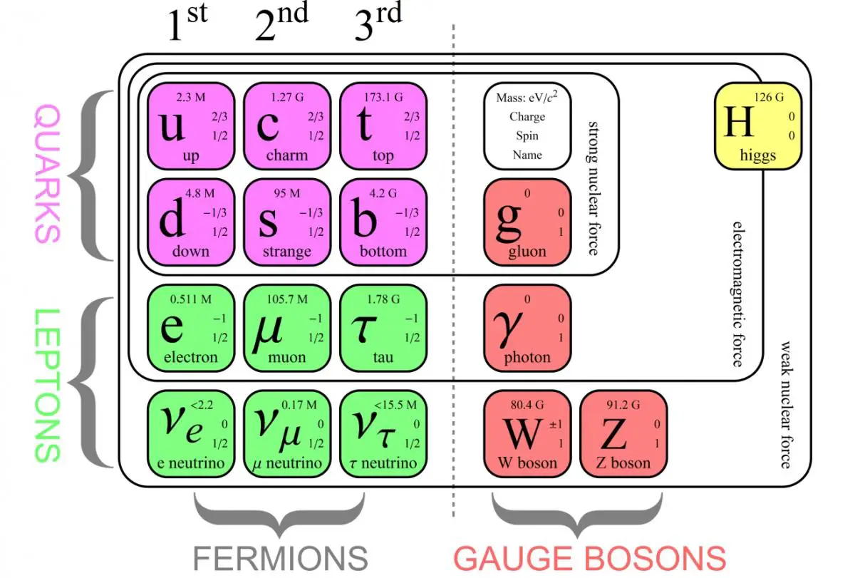 Standard Model.jpg