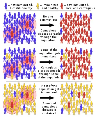 330px-Herd_immunity.svg.png