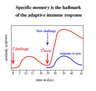 secondary.gif