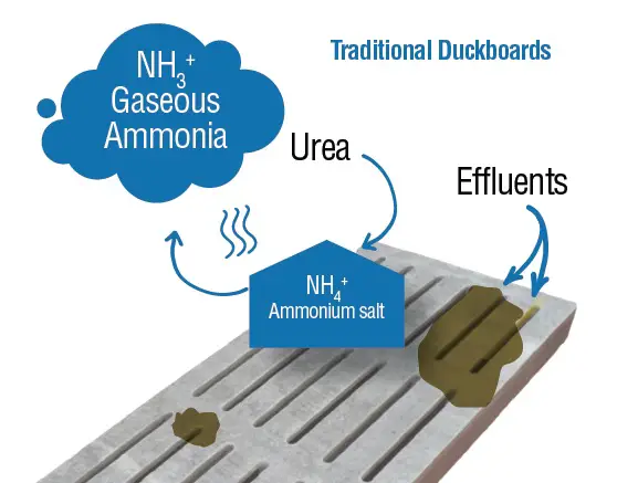 urea to nh3.jpg