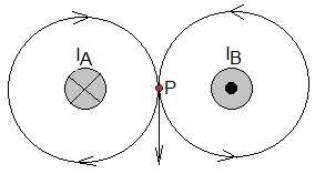 veldlijnen in P.jpg