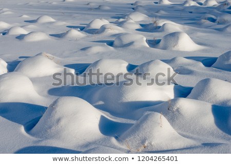 snow-bumps.jpg