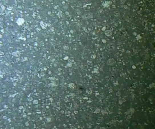 chondrulen.jpg