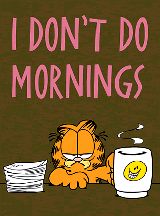 I-Dont-Do-Mornings1.gif