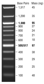 100 bp ladder N3231S NEB.gif