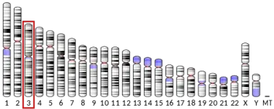 474px-Ideogram_human_chromosome_3.svg.png