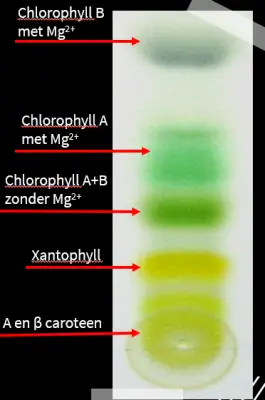 (We hebben de componenten al aangewezen)