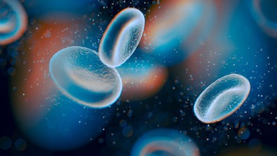 blood-cells-promo.xa4406751[1].jpg