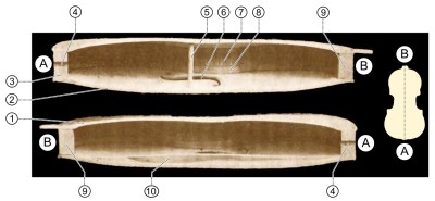 Violin_bout_cross_section.jpg