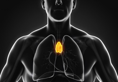 thymus-gland-illustration.jpg