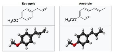 Estragole & Anethole.jpg