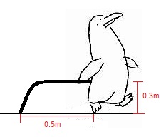 pinguinp.jpg
